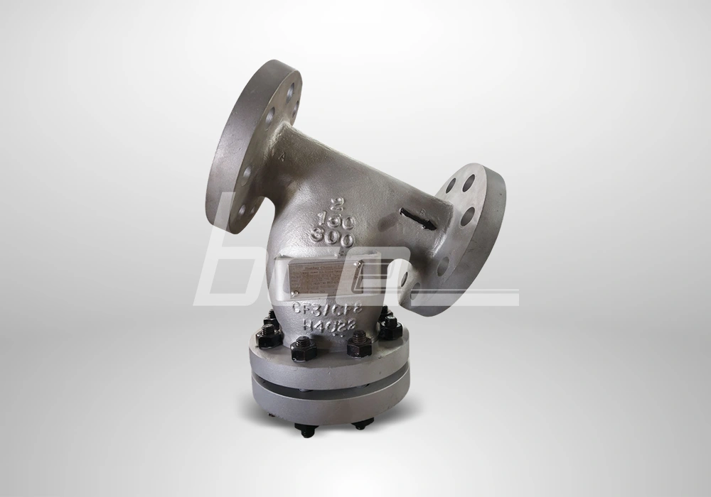 Y Type Strainer